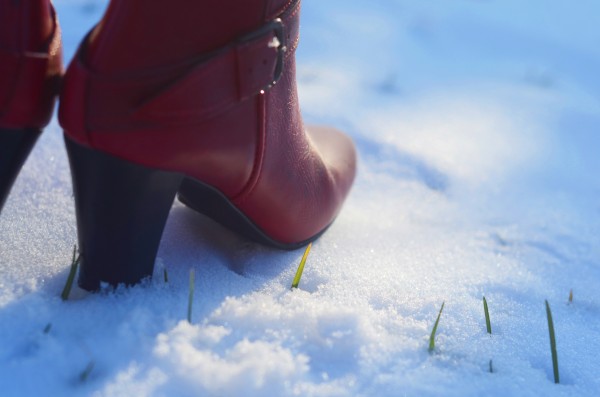 Back to the grass roots by Codrina Miculit